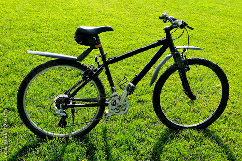 Black mountain bike standing on a green lawn