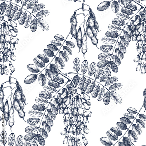 Seamless pattern with hand drawn Black Locust sketch. Vector Background with blue Robinia flowers.Vintage Floral illustration.