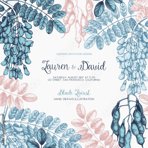 Wedding invitation template. Vintage greeting card with hand drawn Black Locust sketch. Vector frame with delicate Robinia flowers. Save the Date.