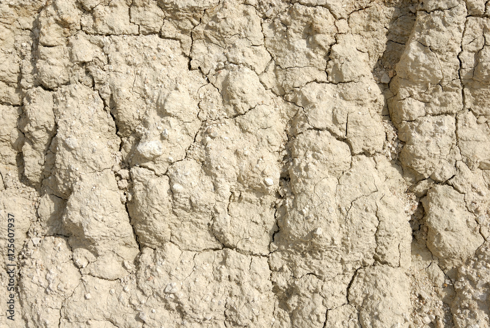 Top view of cracked dirt dry soil
Top view of cracked dirt dry soil