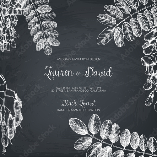 black_locust1