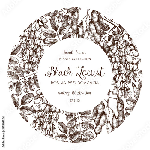 Vector card or invitation design with hand drawn Robinia flowers. Vintage frame with Black Locust sketch on white background. Floral wedding template. Save the Date.