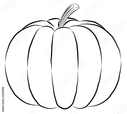outline pumpkin black fine lines and spine Vector black silhouette.