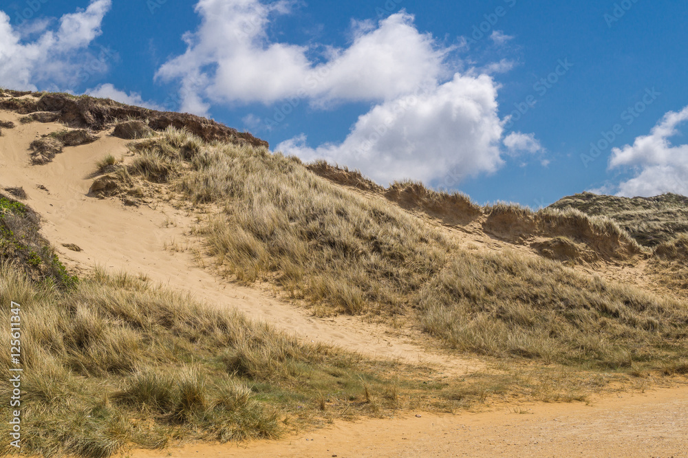 Düne auf Sylt