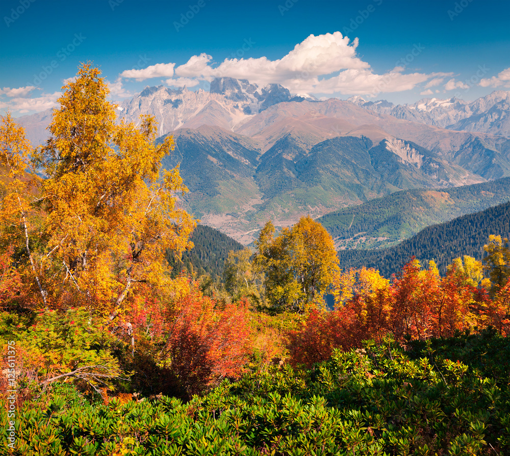 Colorful autumn morning in the Caucasus mountains.