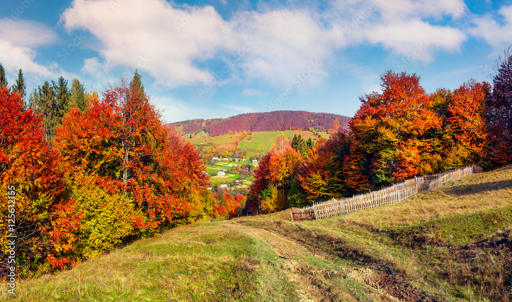 Colorful autumn morning in Carpathian mountains.