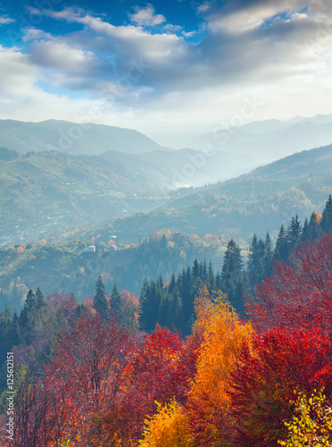 Colorful autumn morning in Carpathian mountains.