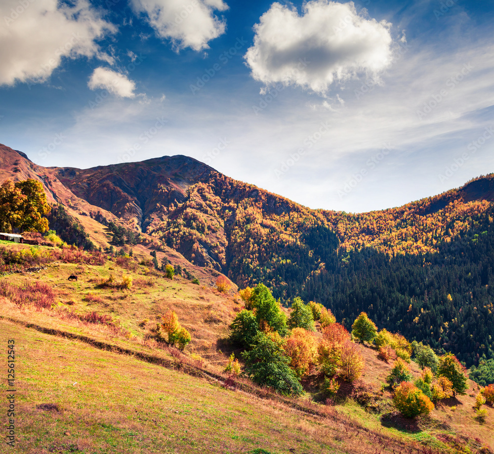 Colorful slopes of the Caucasus Mountains.