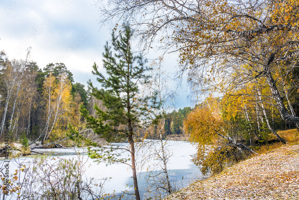 Осенний пейзаж. Река Раздельная, Новосибирская область, Сибирь, Россия