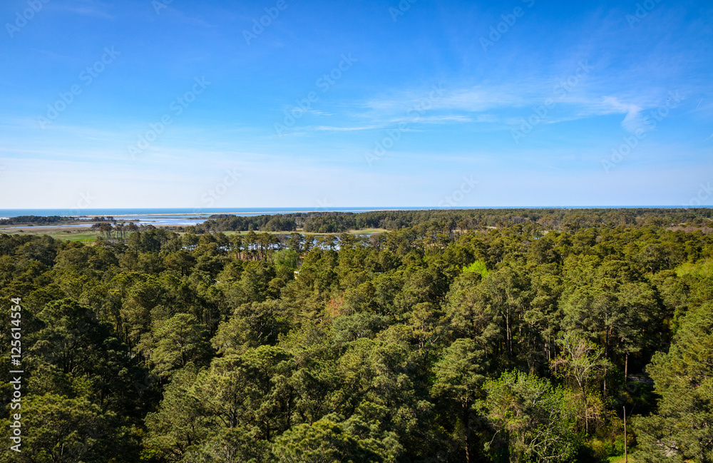 Chincoteague