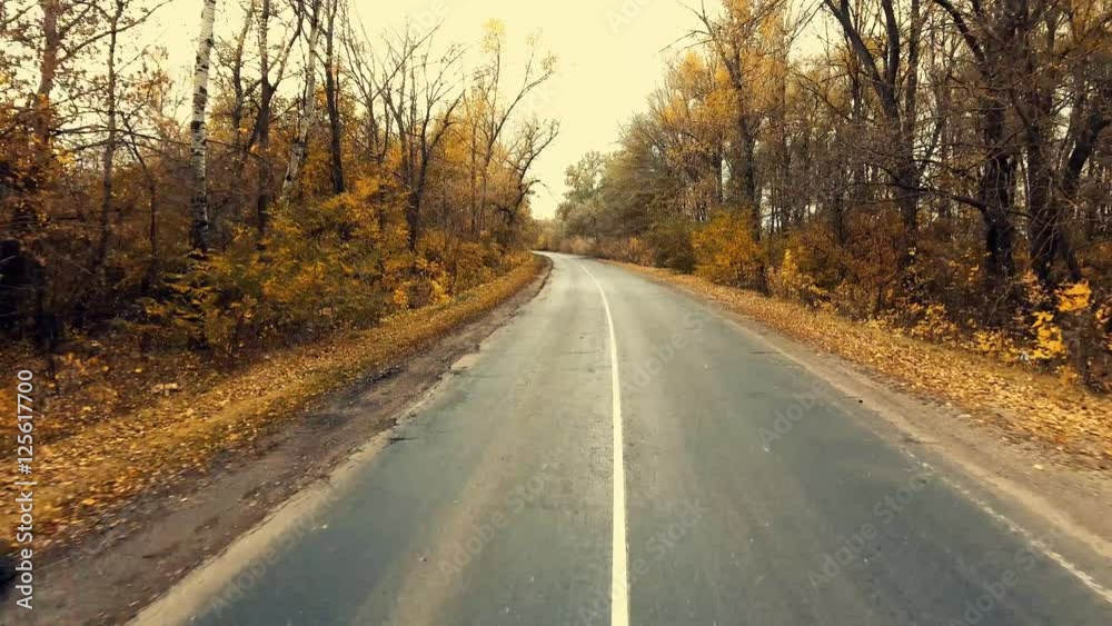 young biker cycling on a road with a scenic autumn forest young biker cycling on a road with a scenic autumn forest