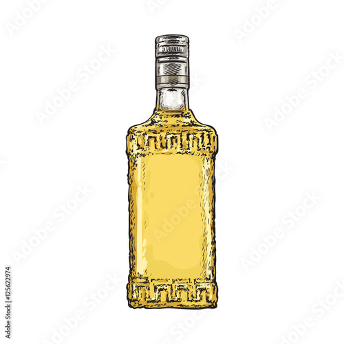 Bottle full of gold tequila, sketch vector illustration isolated on white background. Hand drawn engraved bottle of tequila, gin, brandy, rum, whiskey alcohol beverage