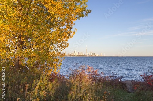 Canvas Print Fall colors