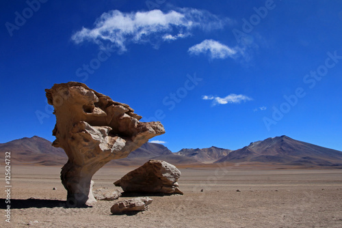 The famous rock formation stone tree or arbol de piedra in the desert of southwest Bolivia, South America