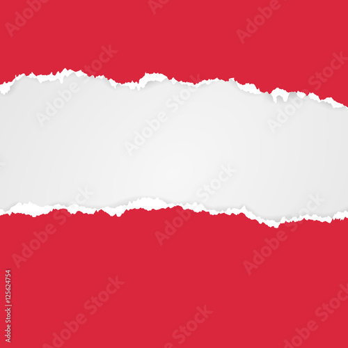 Cut paper. Torn Paper with space for text. Mesh elements