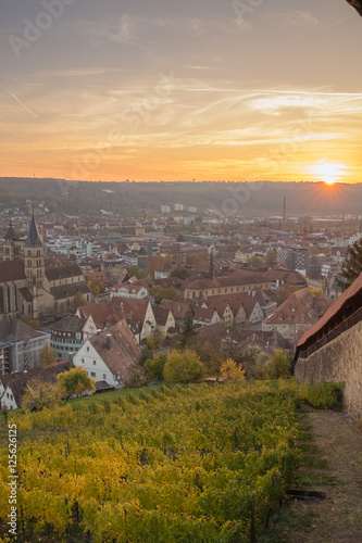Wallpaper Mural Esslingen am Neckar Burg Torontodigital.ca