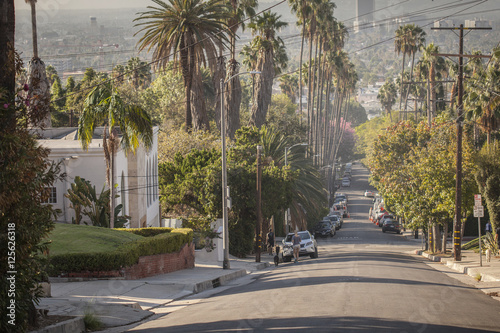 Classical Hollywood street view with palms and hills.