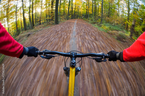 Obraz na plátne Cyclist riding mountain bike in forest during autumn