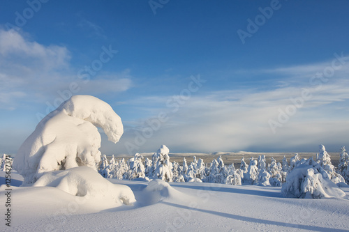 Sunny winter landscape in Lapland © kobeza