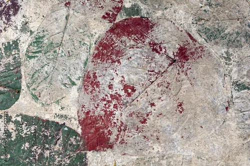 Obraz kolorowe duże liście na betonowym tle