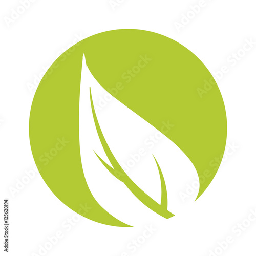 leafs ecology symbol isolated icon vector illustration design