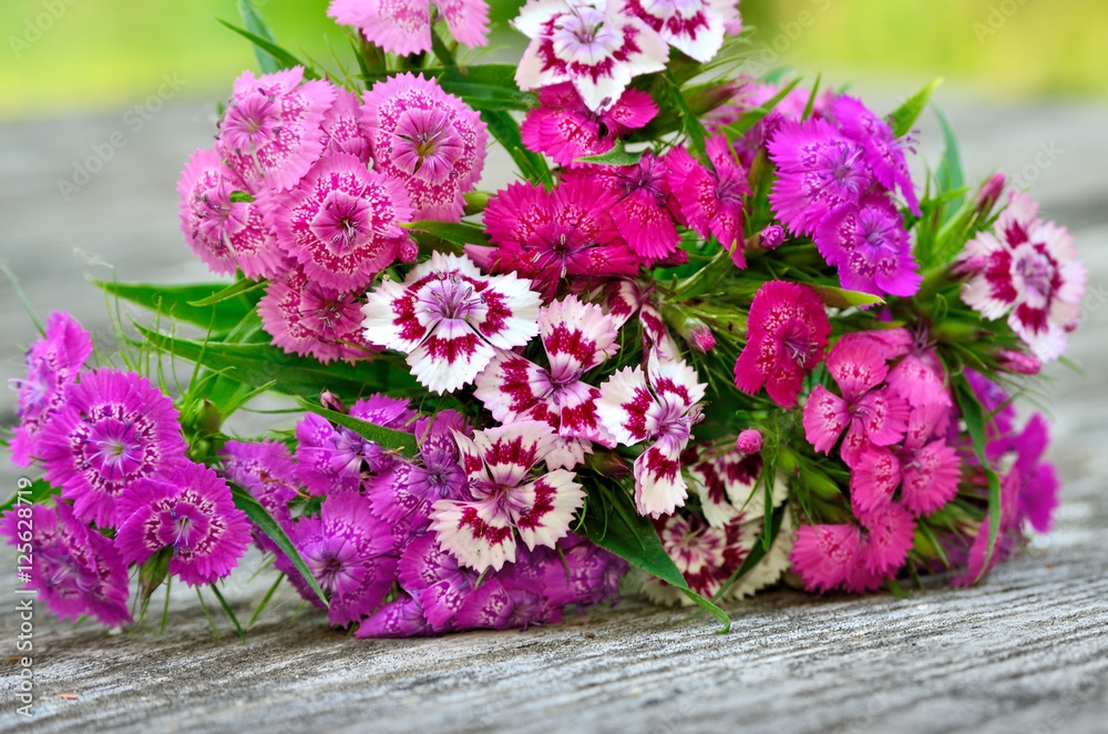 Bouquet of small carnations on a wooden background Bouquet of small carnations on a wooden background