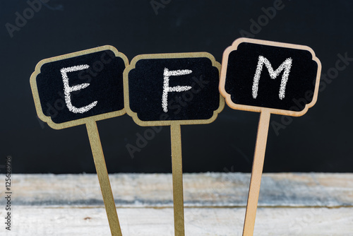 Business acronym EFM as Enterprise Feedback Management photo