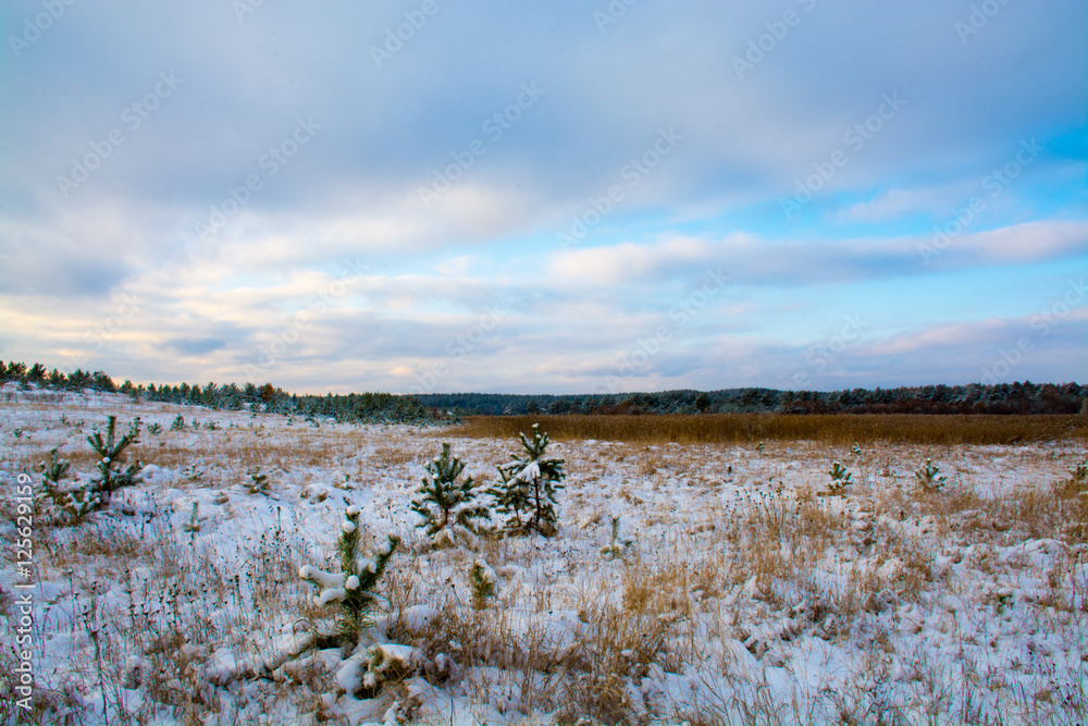 winter landscape in the Urals