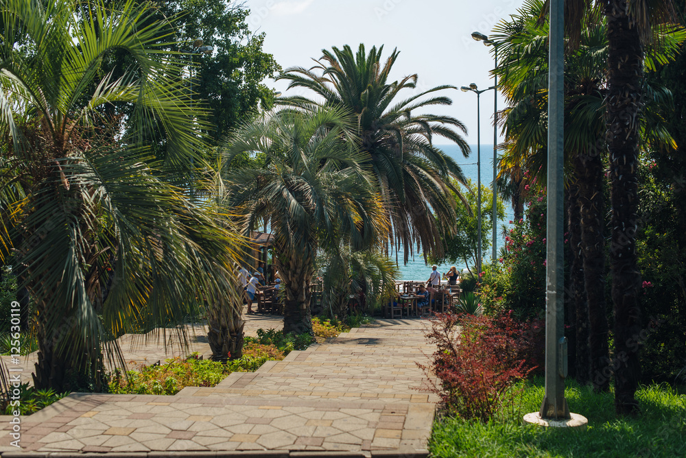 Fototapeta premium Road to the sea, Sochi, Russia