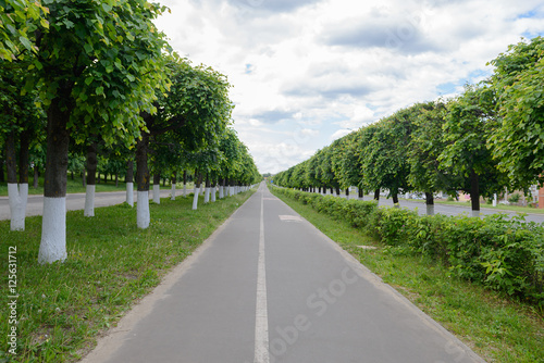stretches to the horizon asphalt road with trees on both sides