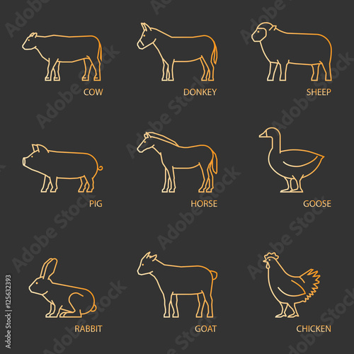 Vector collection outlines farm animals