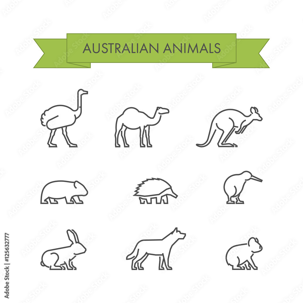 Vector line set of australian animals