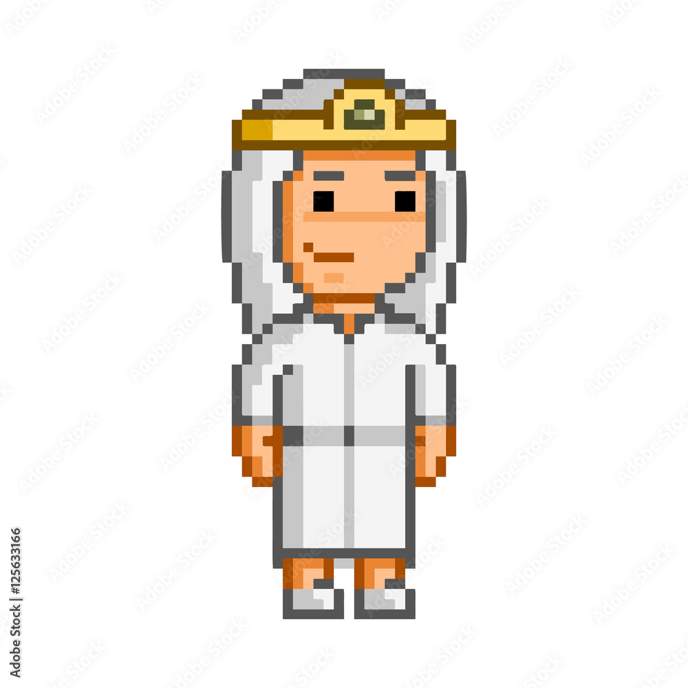 Vector 8 bit pixel princess for game Vector 8 bit pixel princess for game