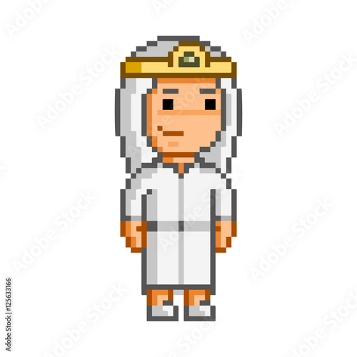 Vector 8 bit pixel princess for game