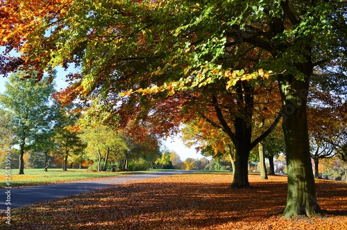 A Colourful Autumn Landscape.