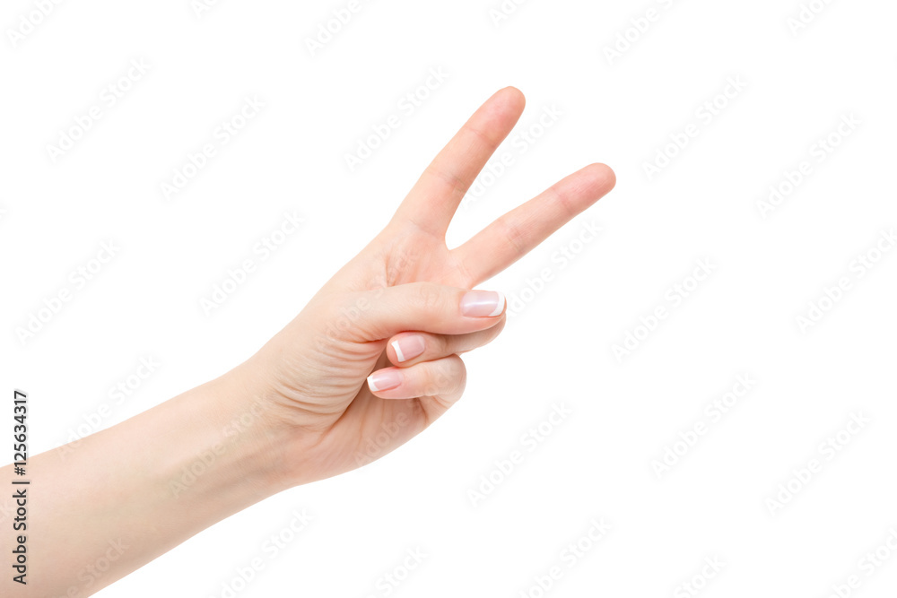 Isolated empty female hand on white background. Isolated empty female hand on white background.