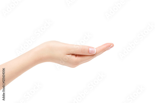 Empty female hand on white background.