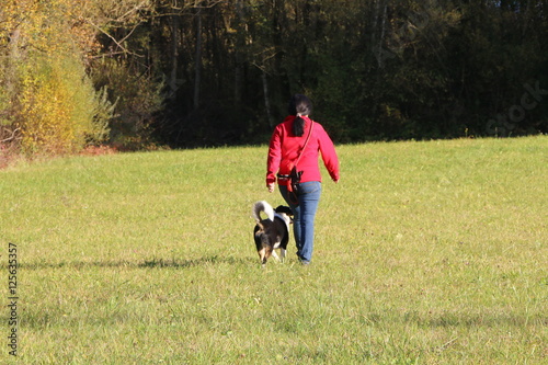 Dog Training, command "heel", Hundetraining, Kommando "bei Fuß" gehen