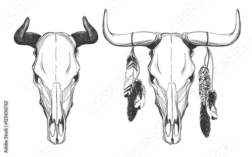 Bull skulls with feathers.