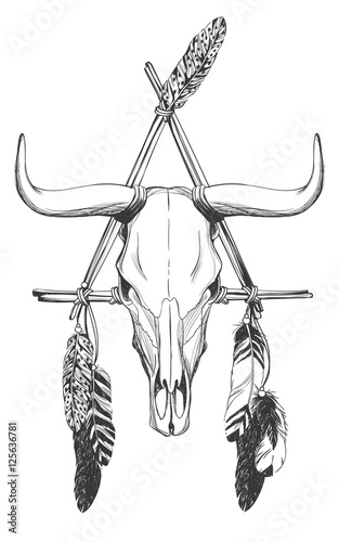 Bull skull with feathers and dreamcatcher.