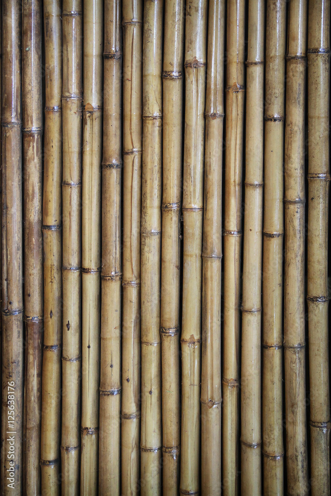 Fototapeta premium Wood texture bamboo