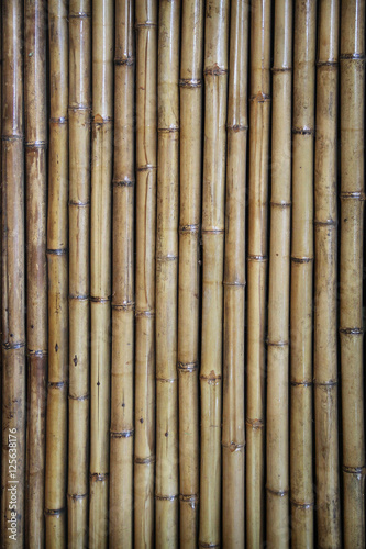 Wood texture bamboo