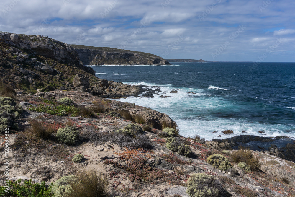 Kangaroo Island Coast Line near Admiral Arch, Southern Australia Kangaroo Island Coast Line near Admiral Arch, Southern Australia