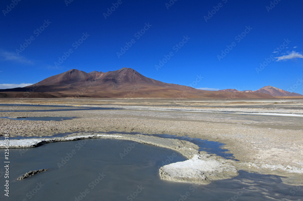 Laguna Ramaditas, altiplano, southern Bolivia South America