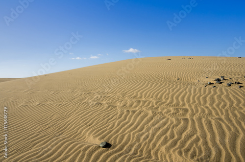 Dunes of Maspalomas