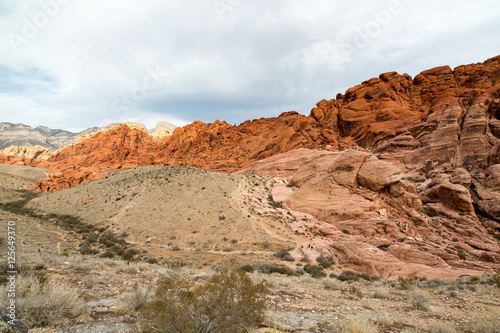 A Creek Bed Through Red Rock Canyon