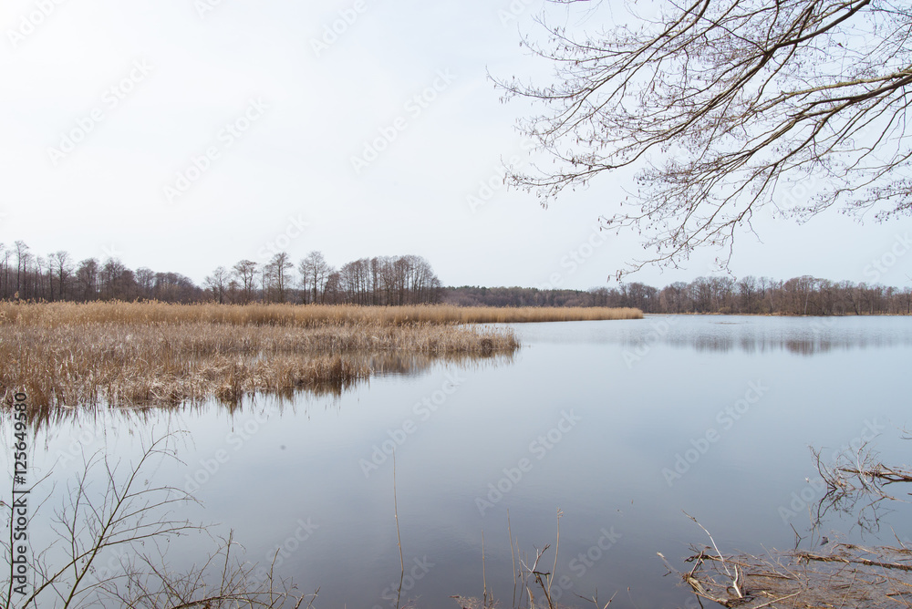 Fototapeta premium View of the lake shore.