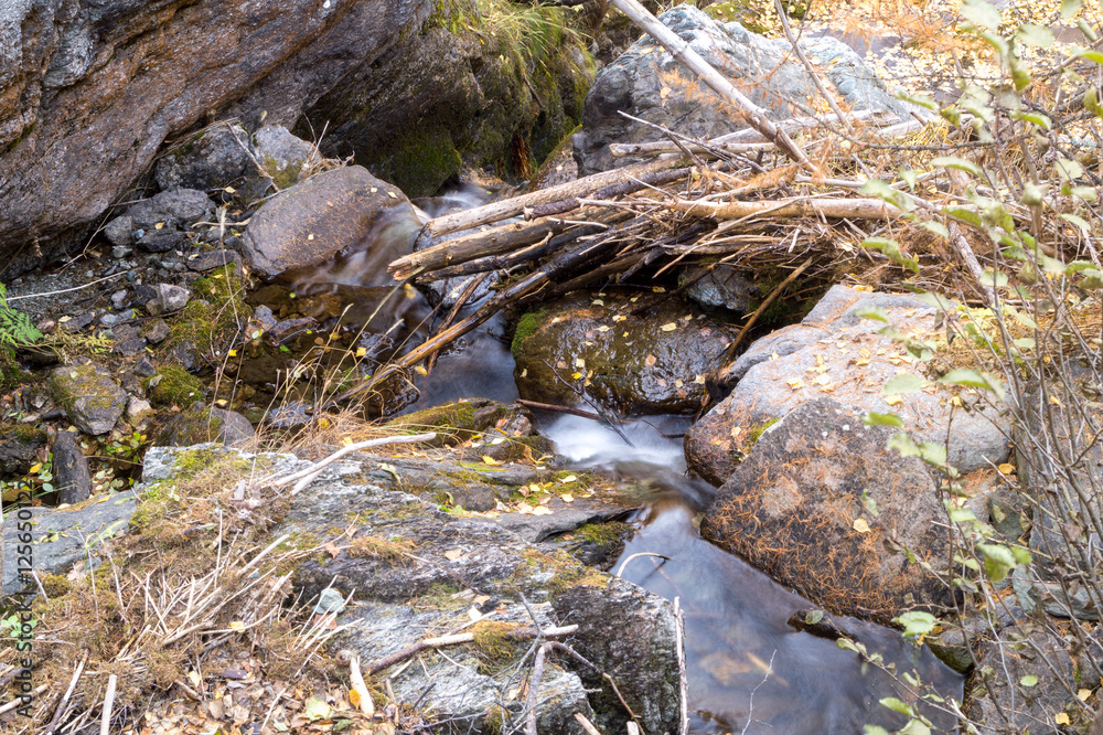 mountain stream, long exposure silky water, autumn colors mountain stream, long exposure silky water, autumn colors