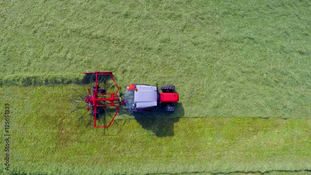 A red tractor is driving slowly across the meadow and it is raking hay. Wide-angle aerial shot.
A red tractor is driving slowly across the meadow and it is raking hay. Wide-angle aerial shot.