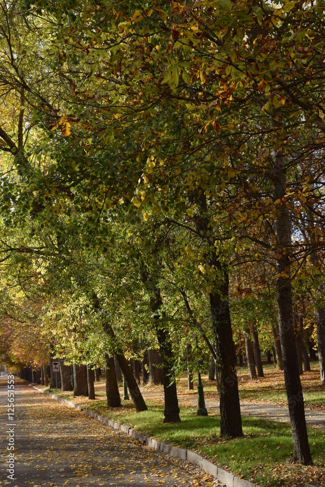 Otoño Otoño